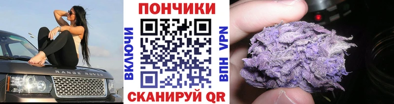 Бошки Шишки марихуана  Гаврилов Посад 